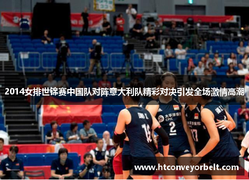 2014女排世锦赛中国队对阵意大利队精彩对决引发全场激情高潮