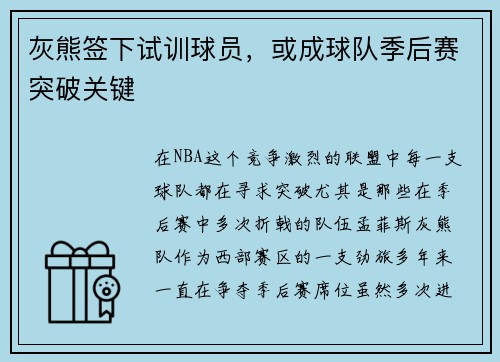 灰熊签下试训球员，或成球队季后赛突破关键